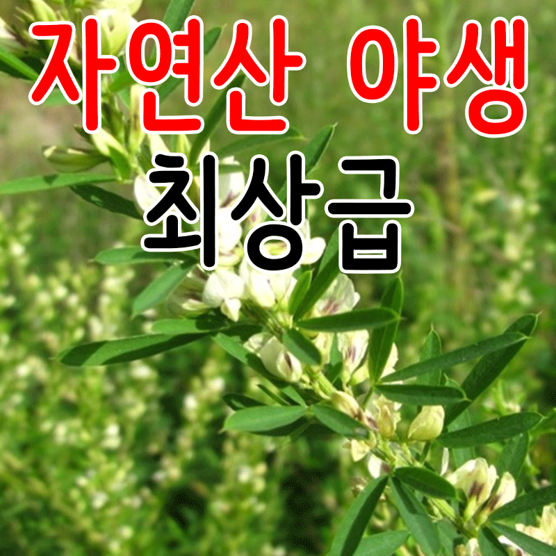 ±¹³»»ê ¾ß°ü¹® ÀÚ¿¬»ê ±¹»ê ºñ¼ö¸® 300g
